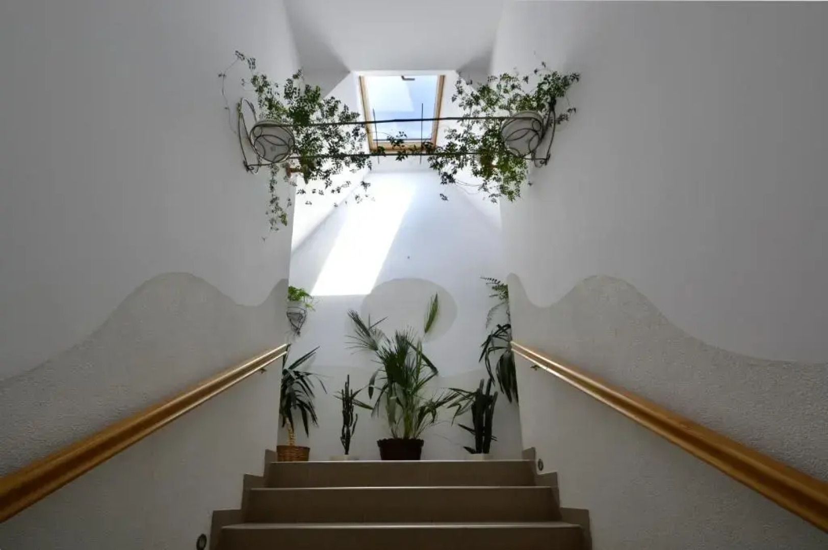 Pokoje do Wynajęcia u Lusi