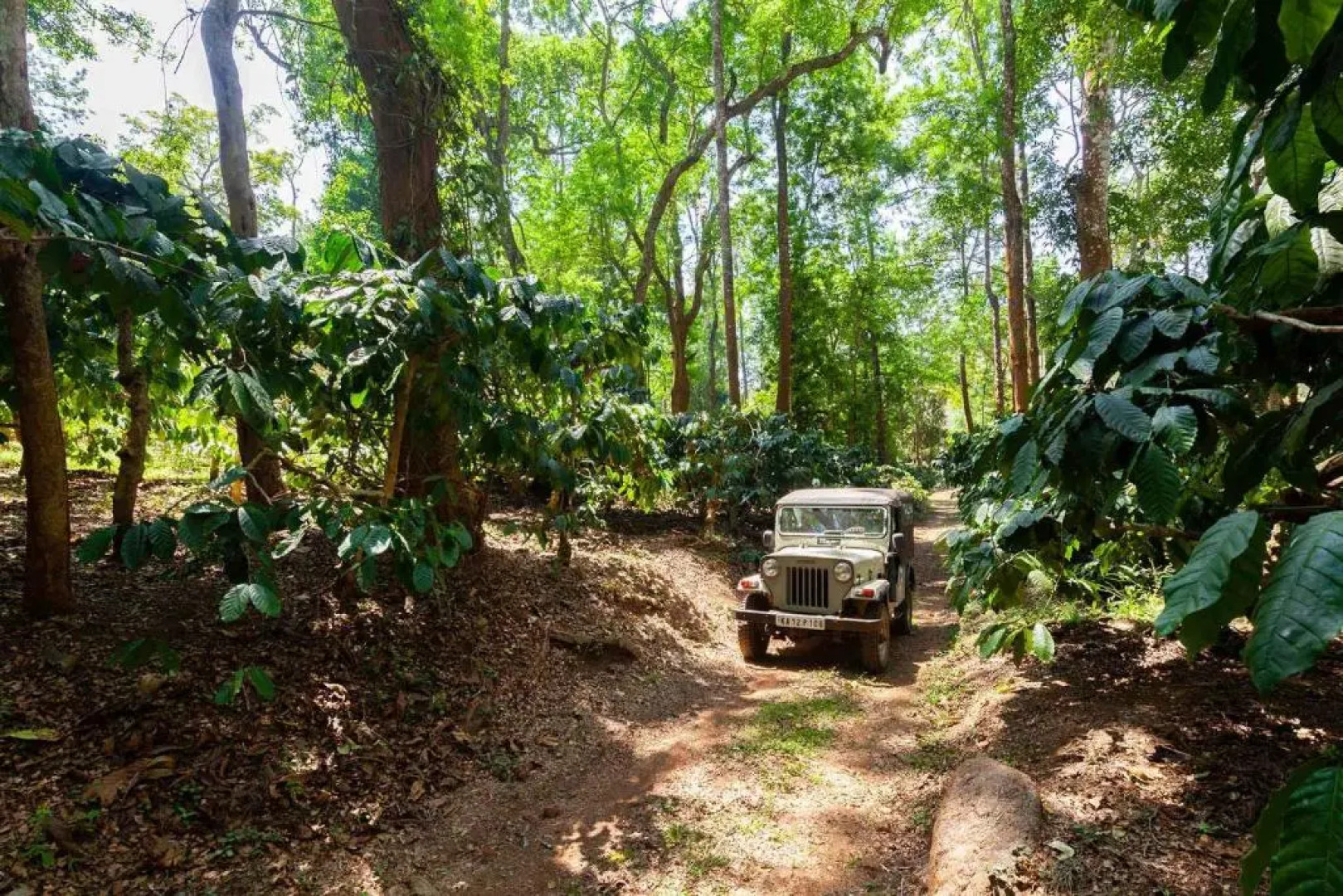 Crystal Homestay by Vista Rooms