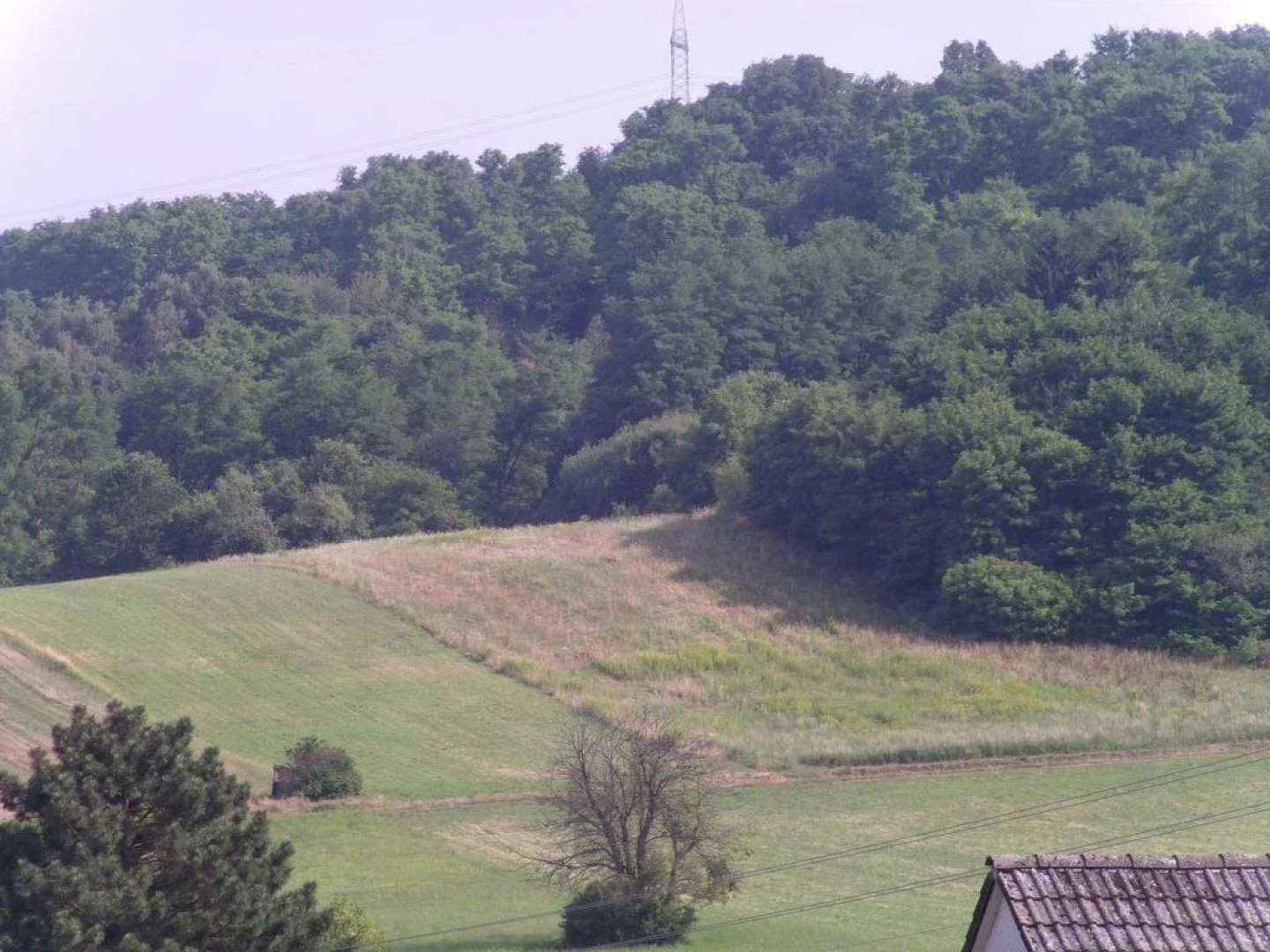 Hotel Felsberger Hof