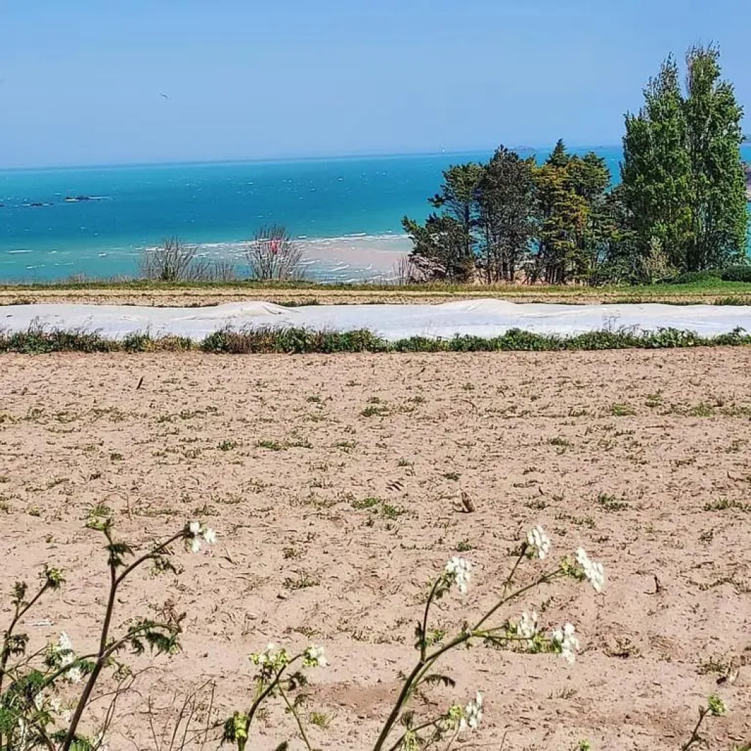 Maison Triton Et Porcelaine