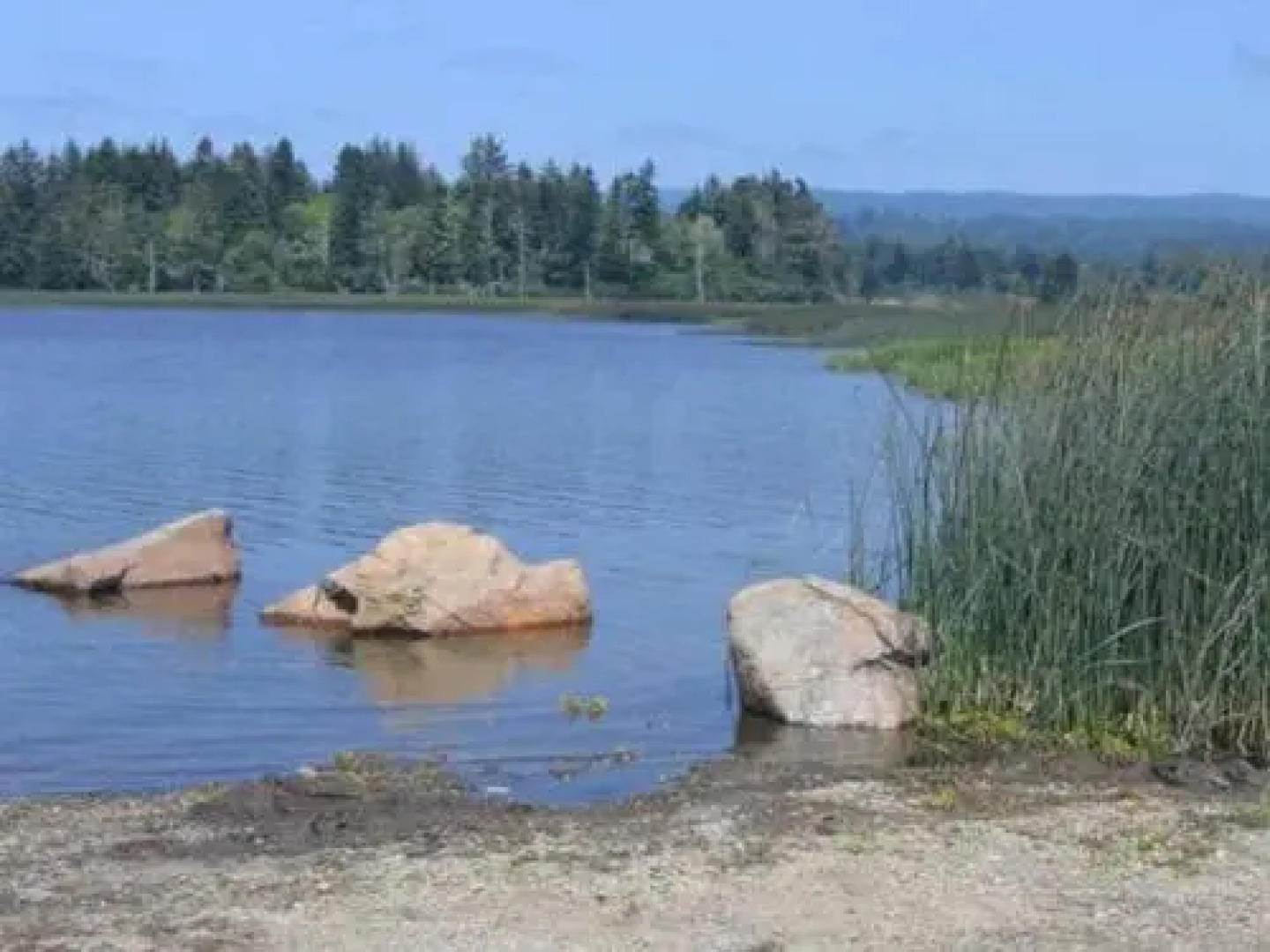 Lakeside Hostel & Guest House