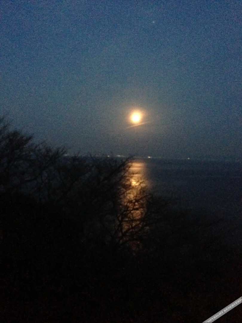 Chidori-An <Awajishima>