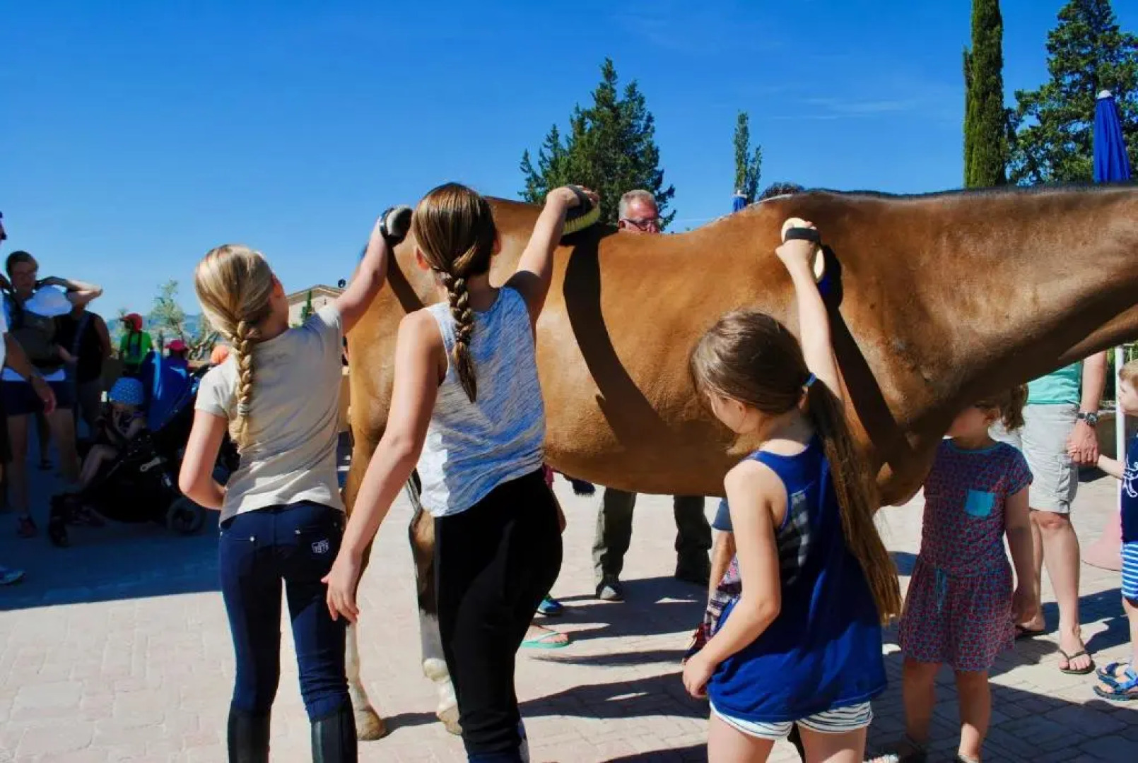 Agriturismo Podere Diacceroni