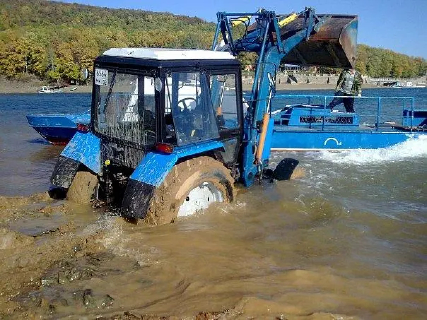 Лесная Сказка