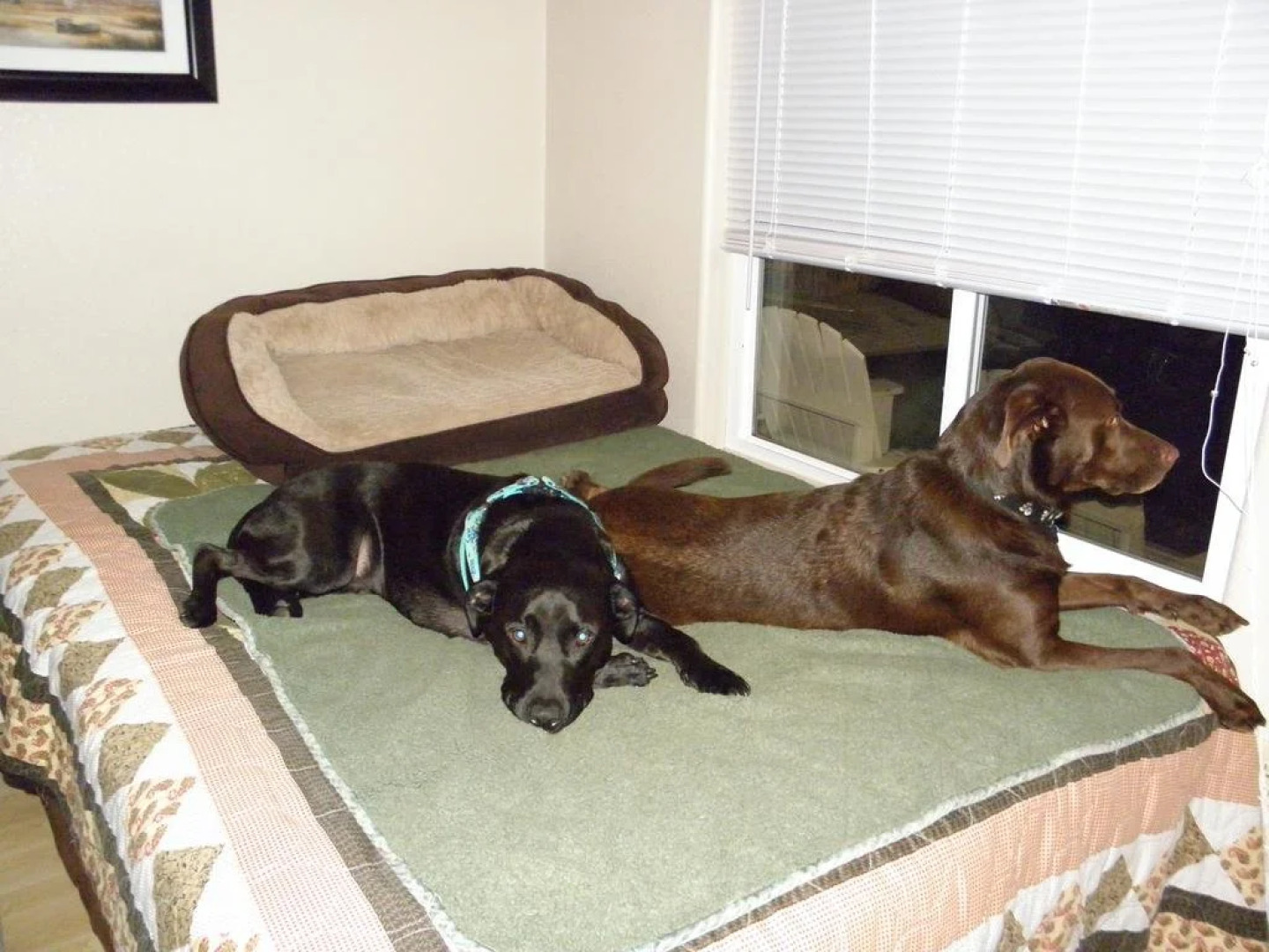 Sea Haven Motel & Guest House