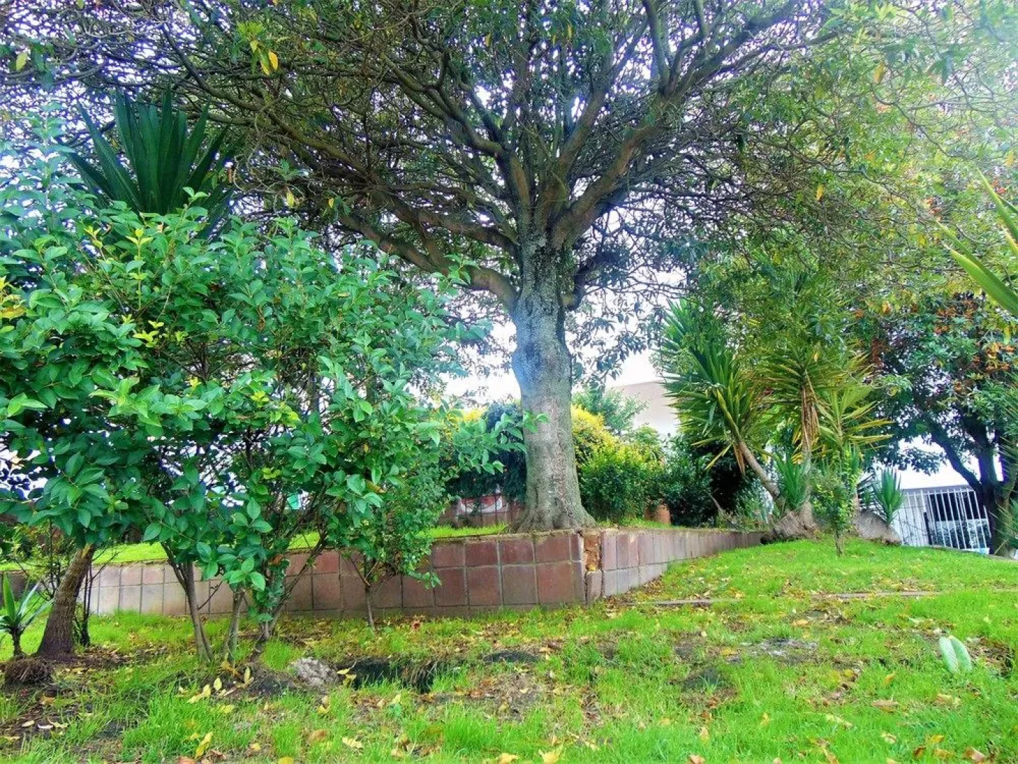 Hotel Hunza Y Centro De Convenciones