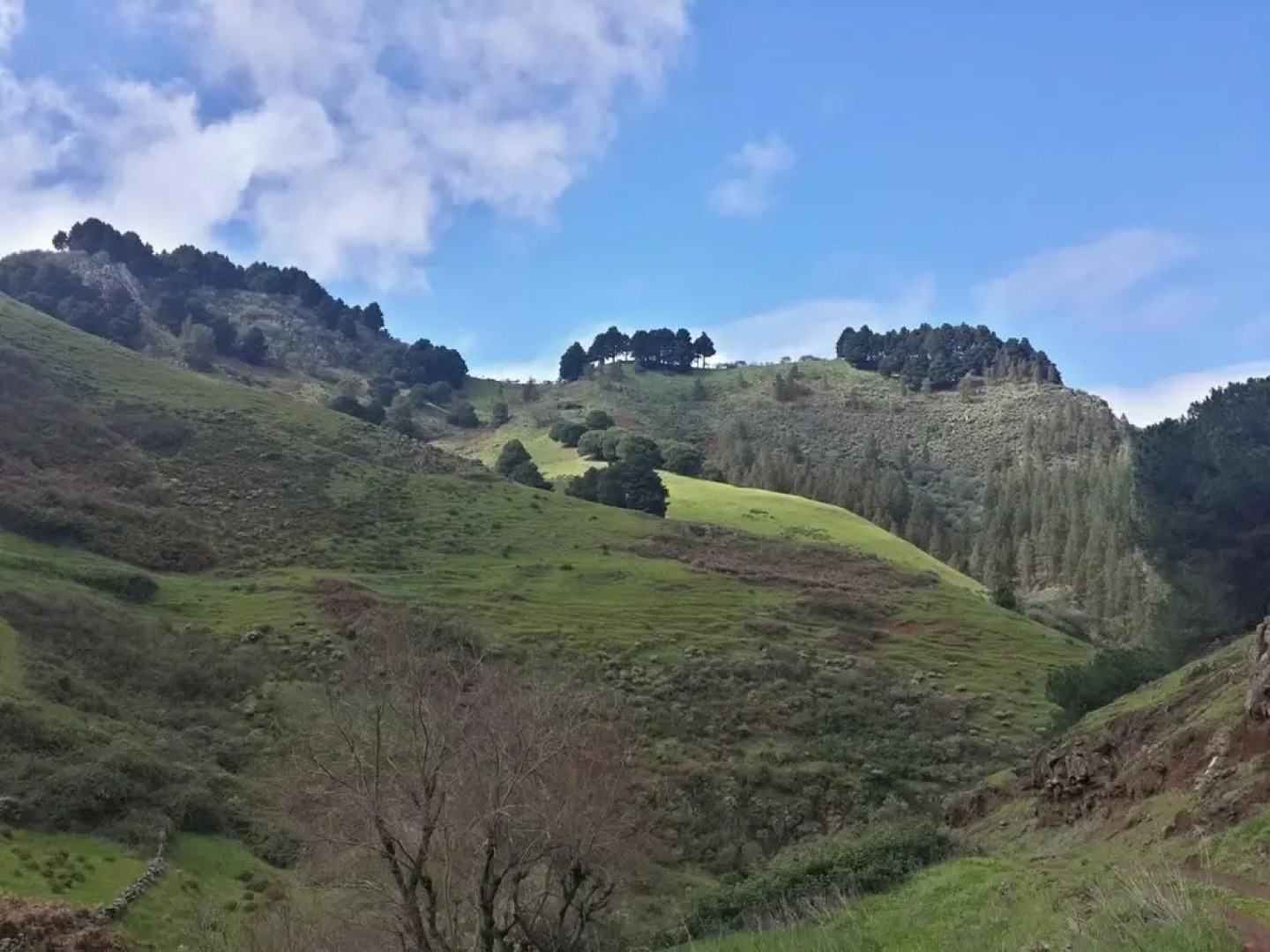 Seaside Bliss Villa in Fagajesto