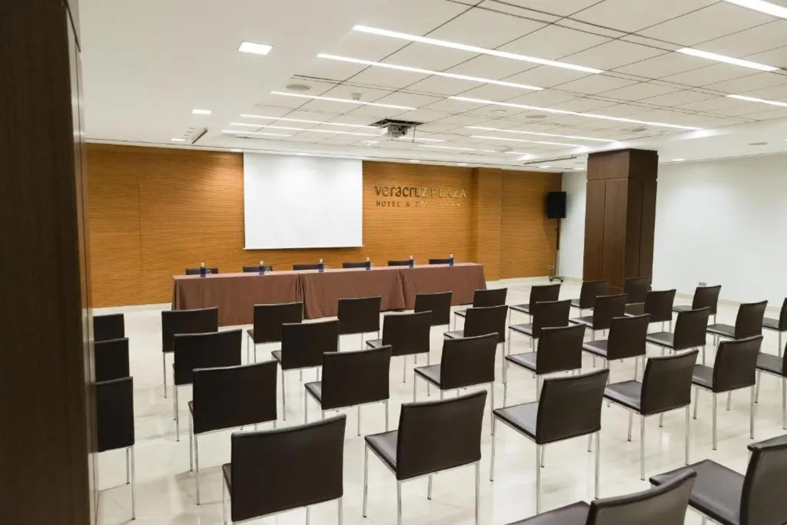 Hotel Veracruz Plaza & Spa