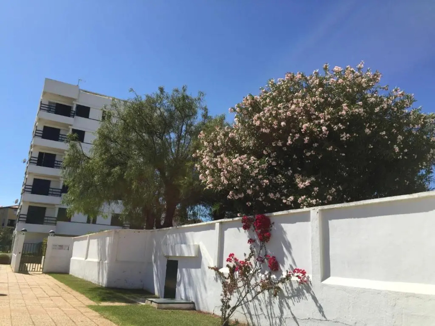 Peixe and Barco Studios