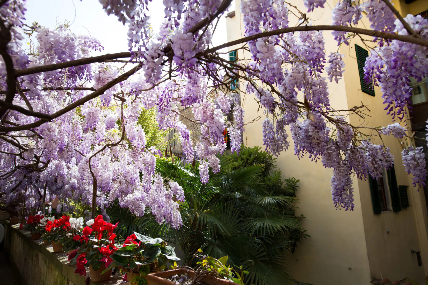 Locanda Orchidea - B&B