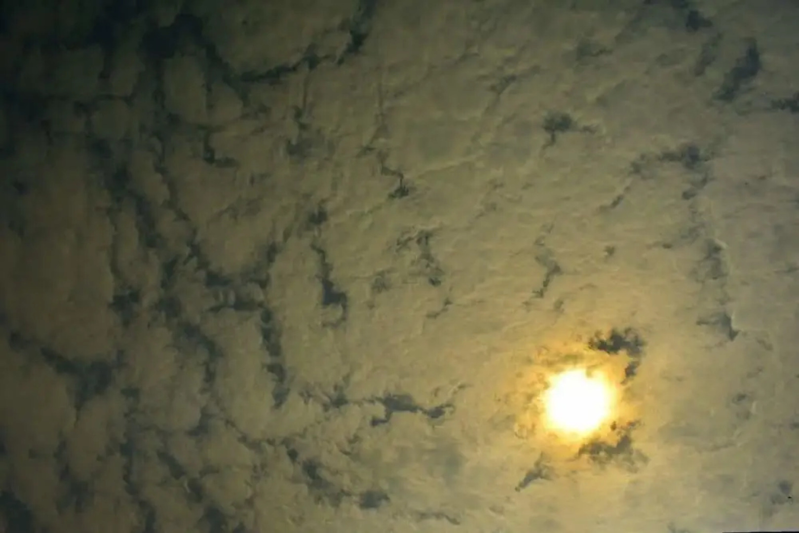 Samriddhi Banquet Garden & Resorts