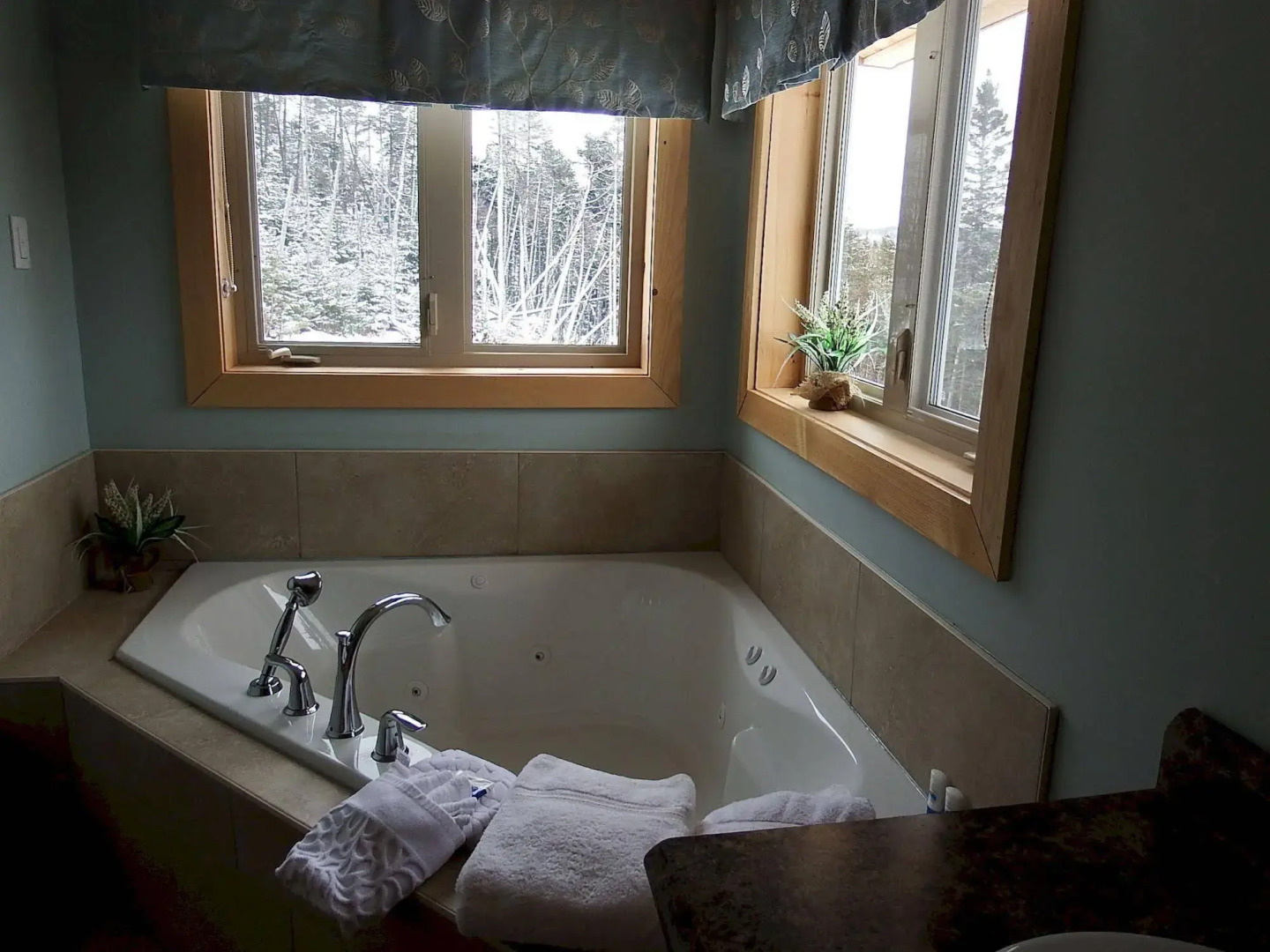 The Wilds at Salmonier River