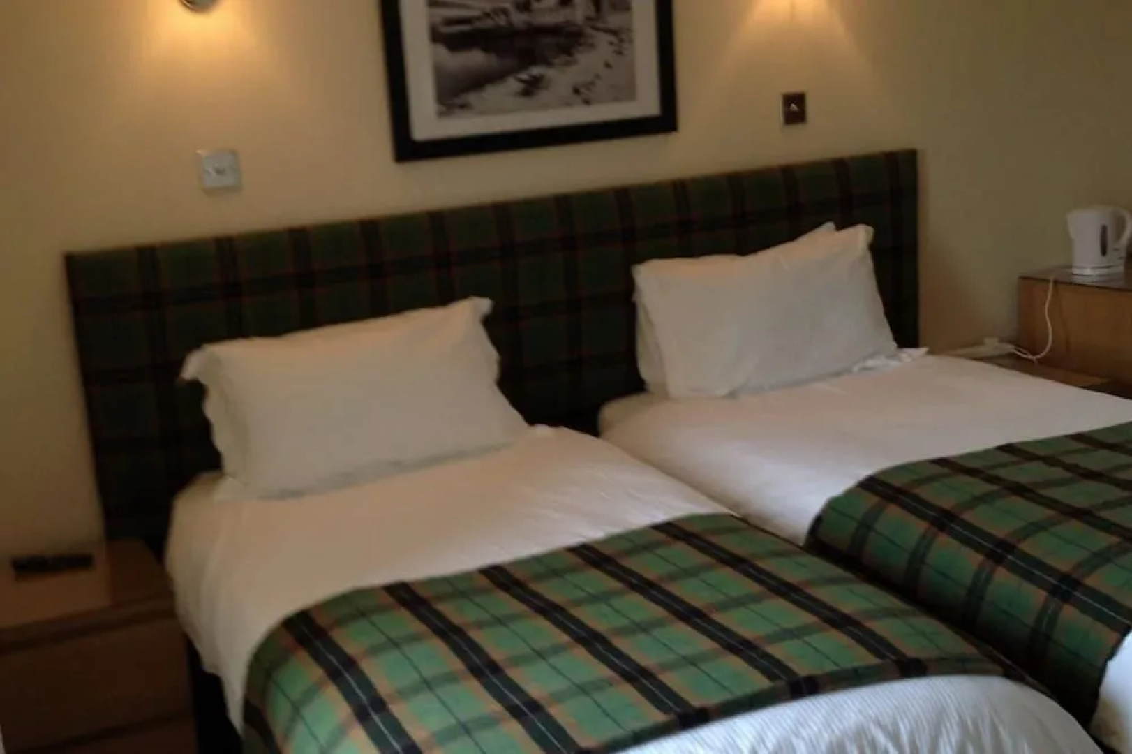 The Island Bear B&B