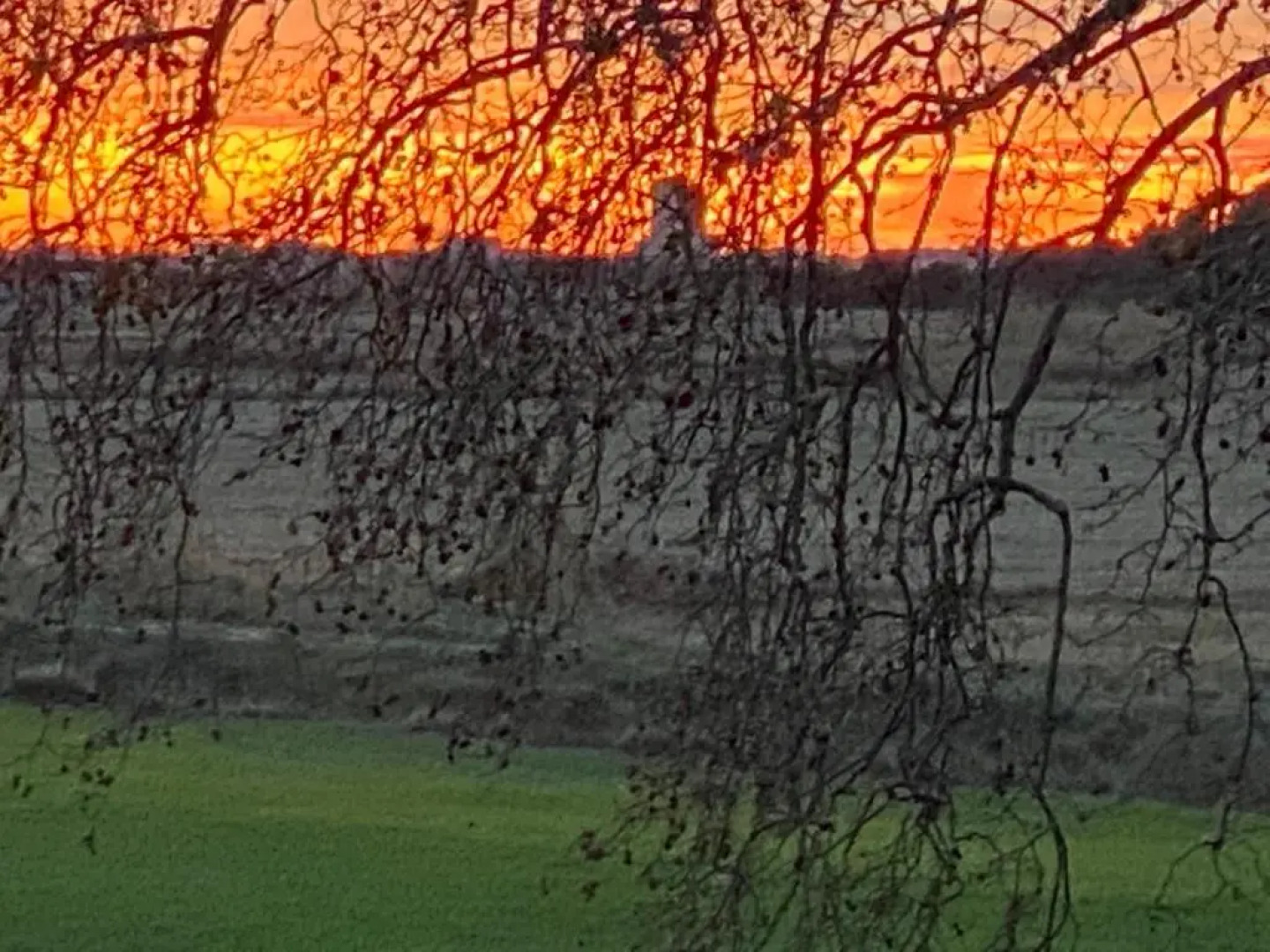 Gites du Domaine de Laforest