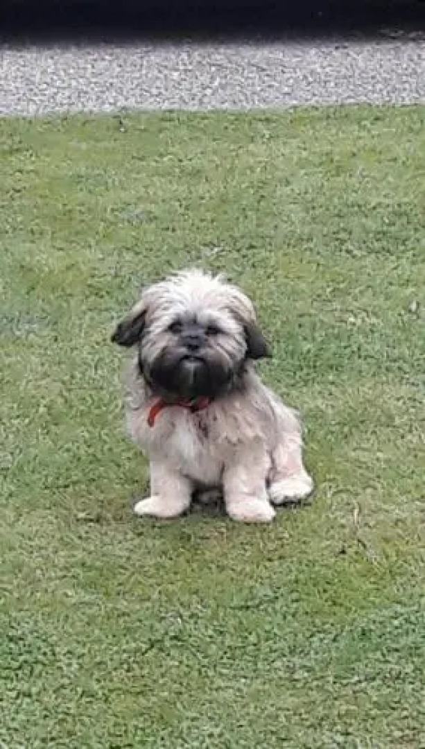 Rowan Cottage Organic B&B