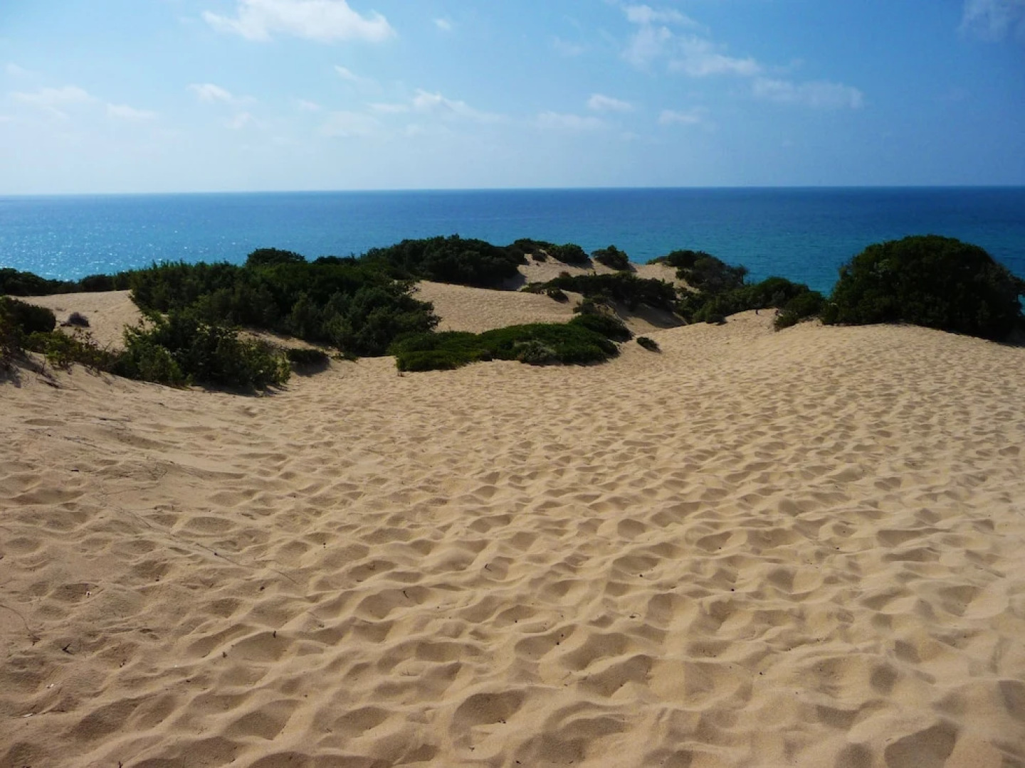 Agriturismo Sa Tanca