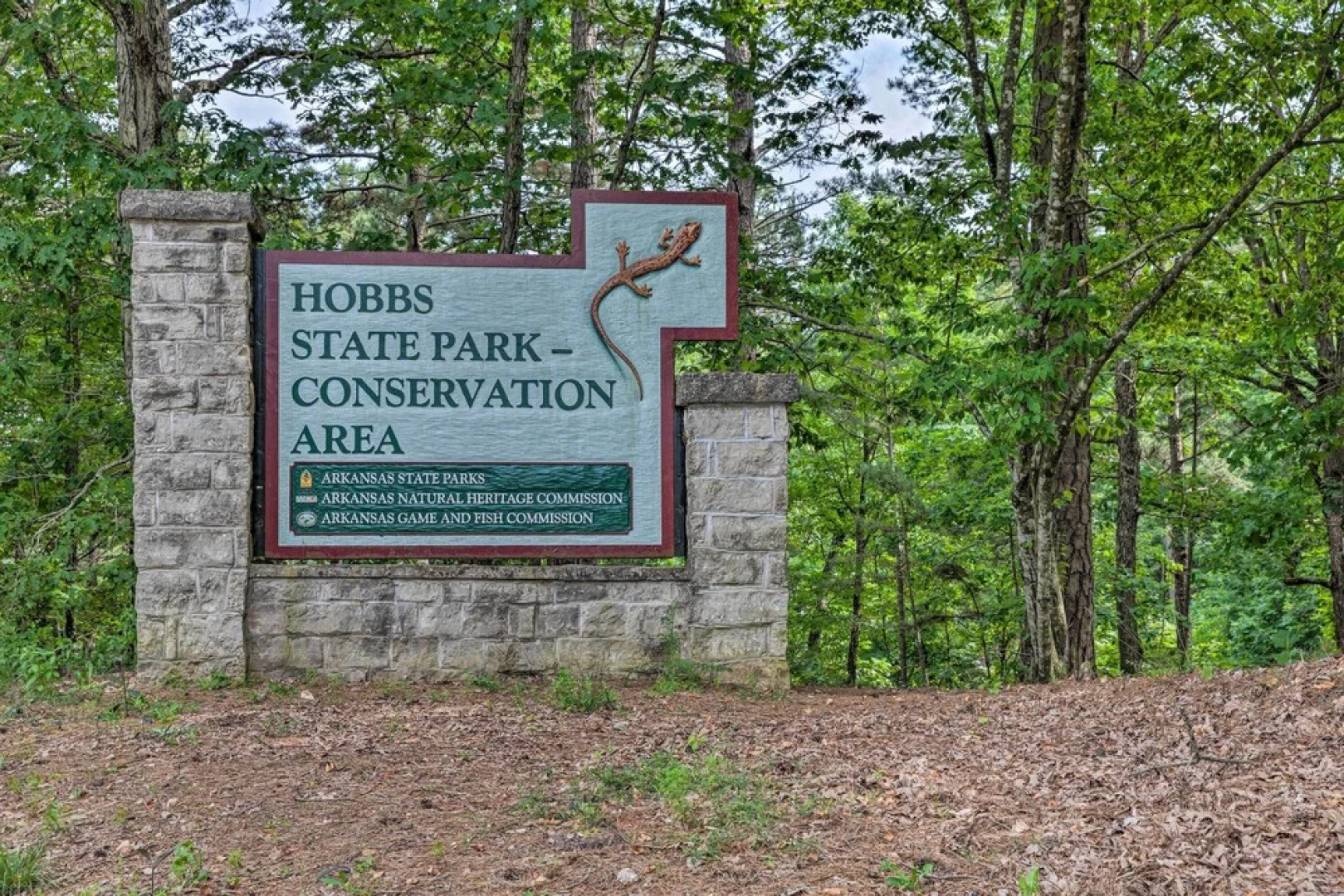 Grand Rogers Lake Home w/ Game Room & Scenic Views