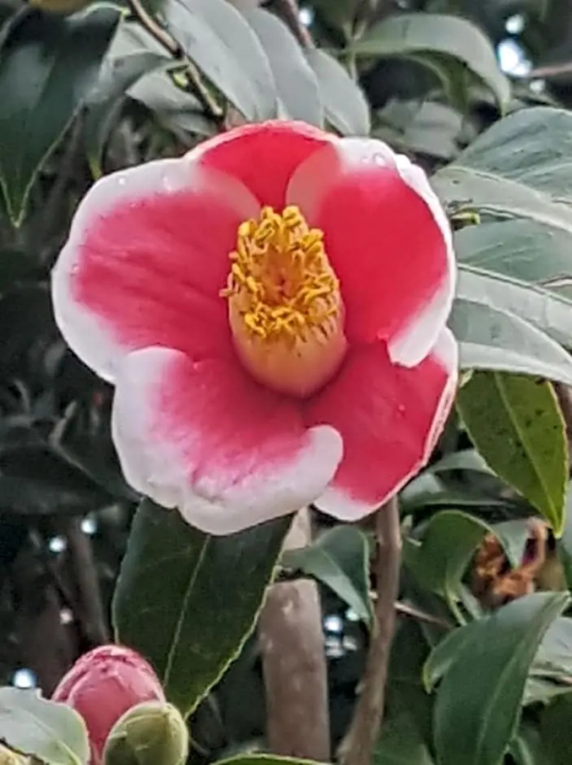 Wyndover Mountain Retreat