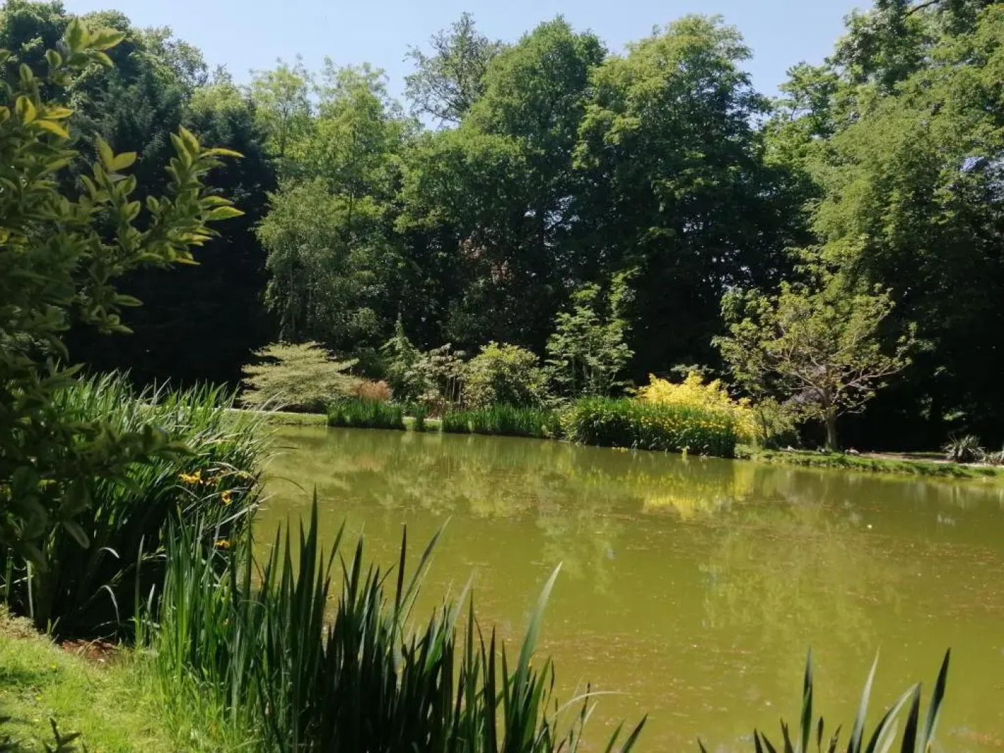 Chambre E André Le Domaine Des Jardins De Bracquetuit