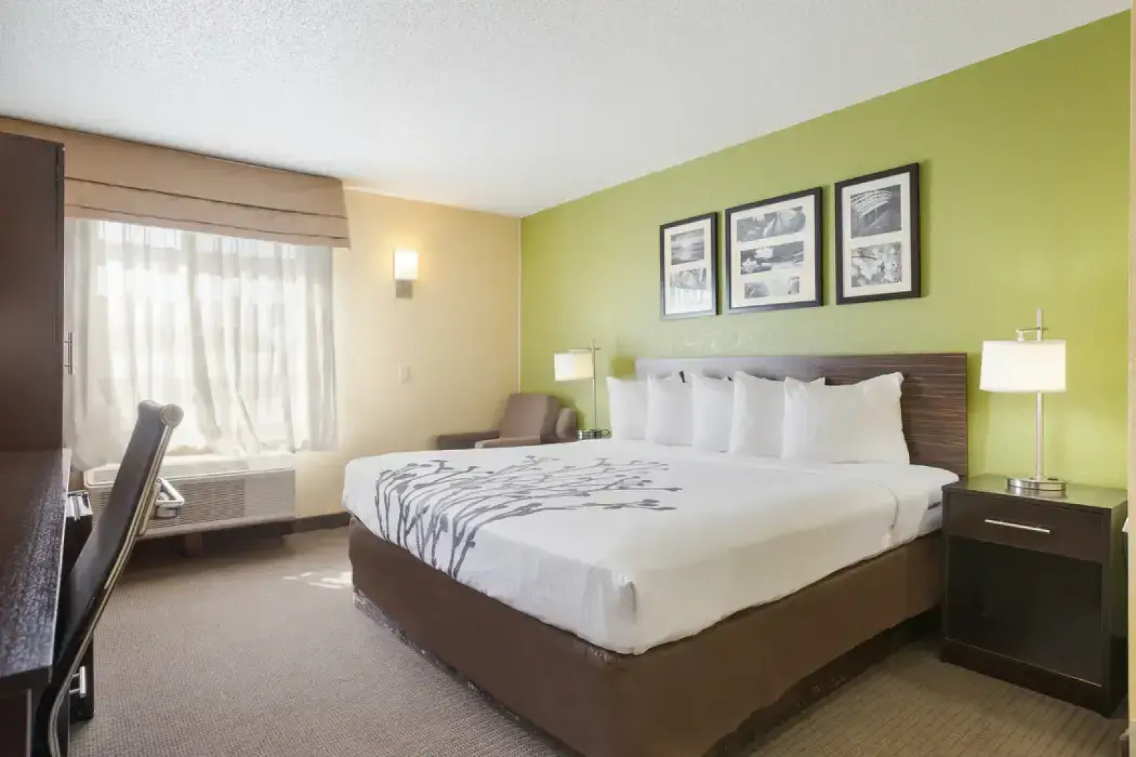 Sleep Inn & Suites Grand Rapids Southeast - Kentwood