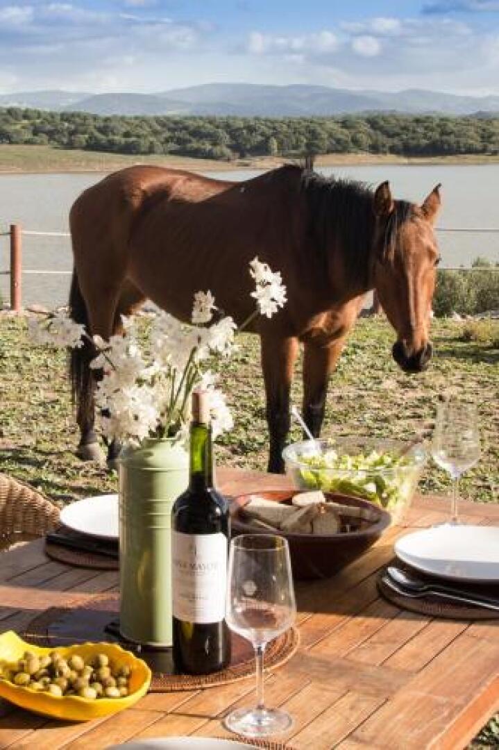 Las Lomillas Reserva Ecológica
