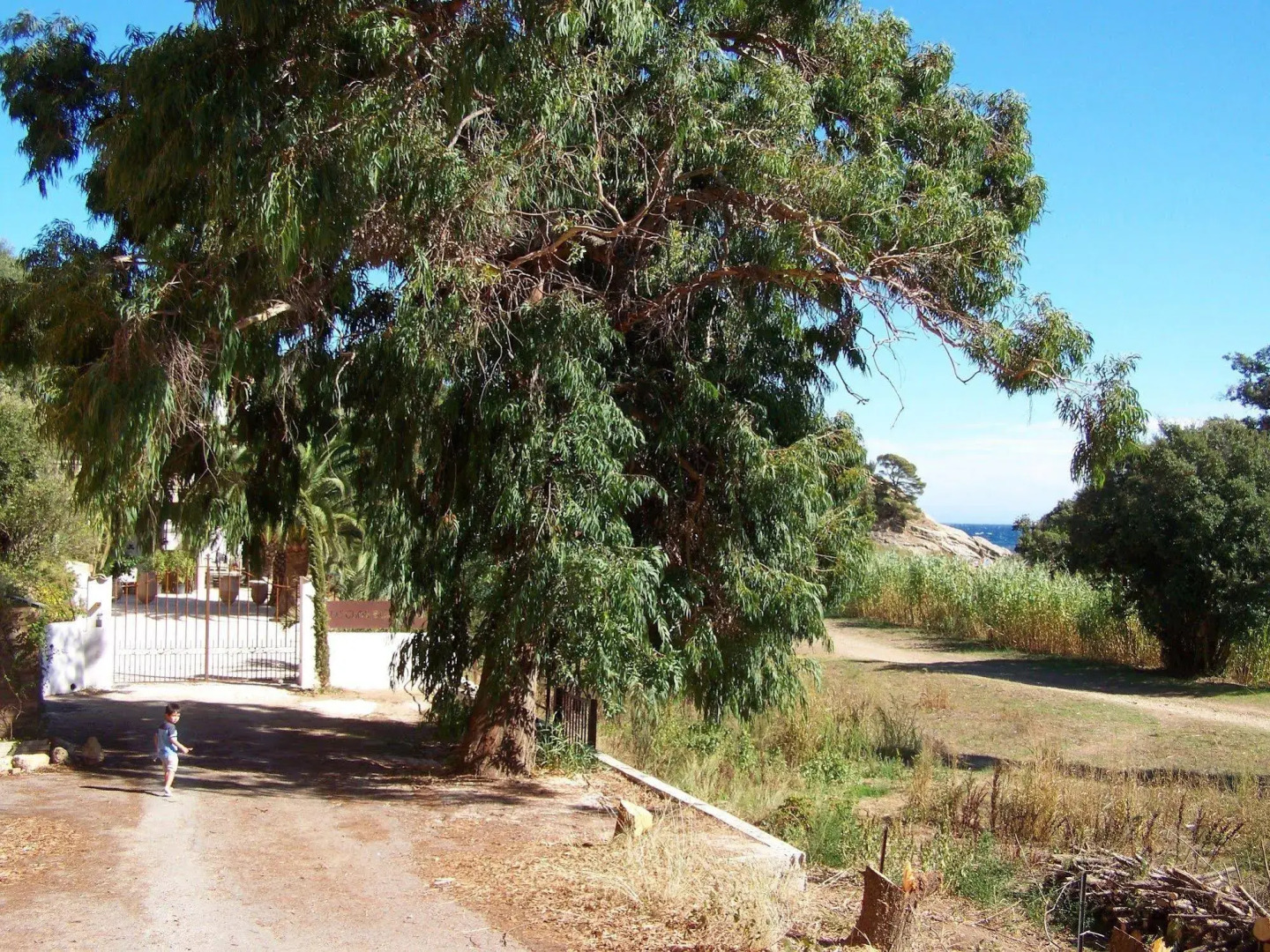 Le clos des sept palmiers