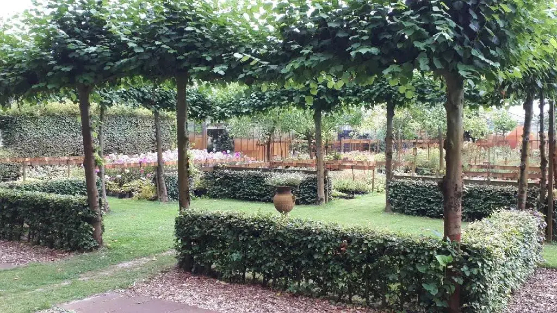 Pipowagen Overnachting Het Houten Huis