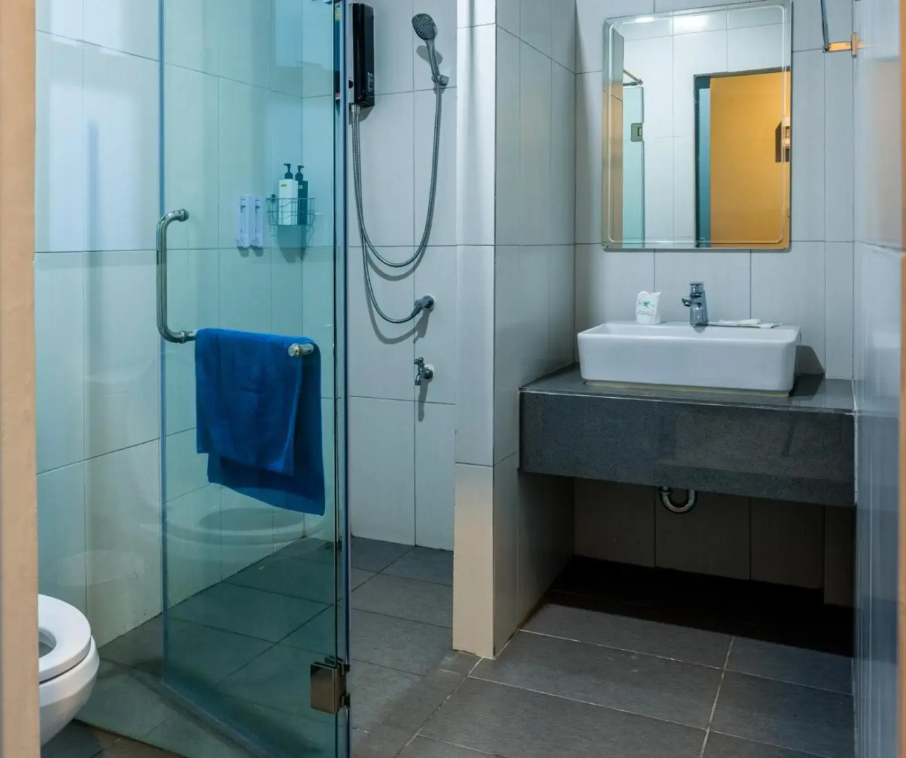 DD Garden Home (SHA Extra Plus)