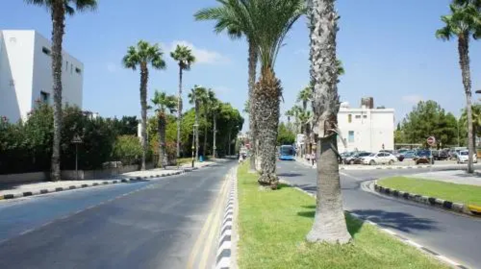 Limnaria Westpark 129