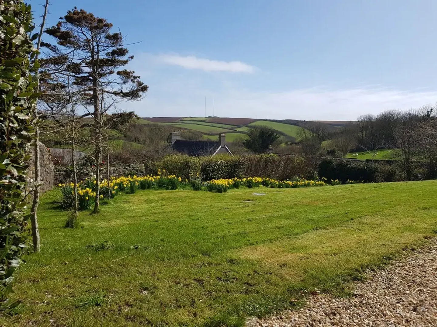Orchard View