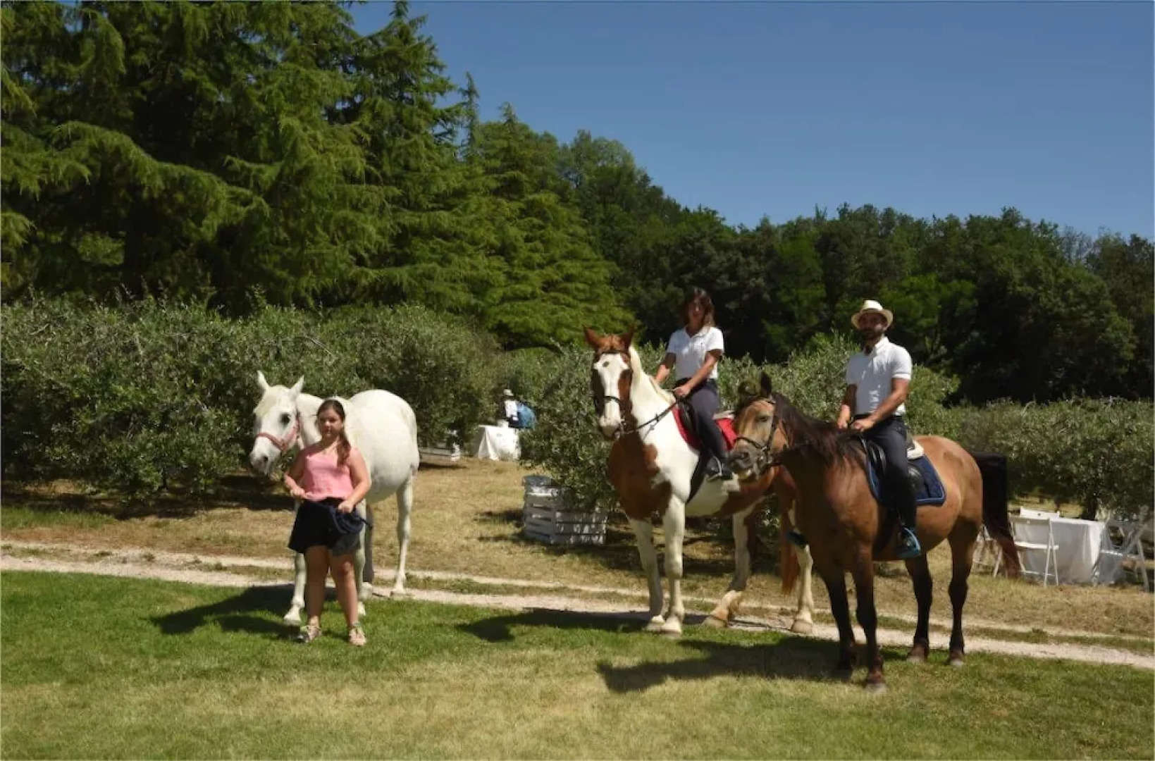 La Tenuta Del Giglio