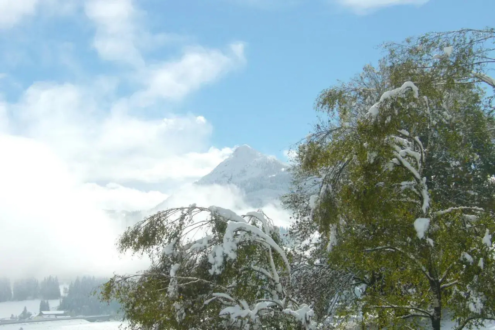 Appartement Jäger Manuela