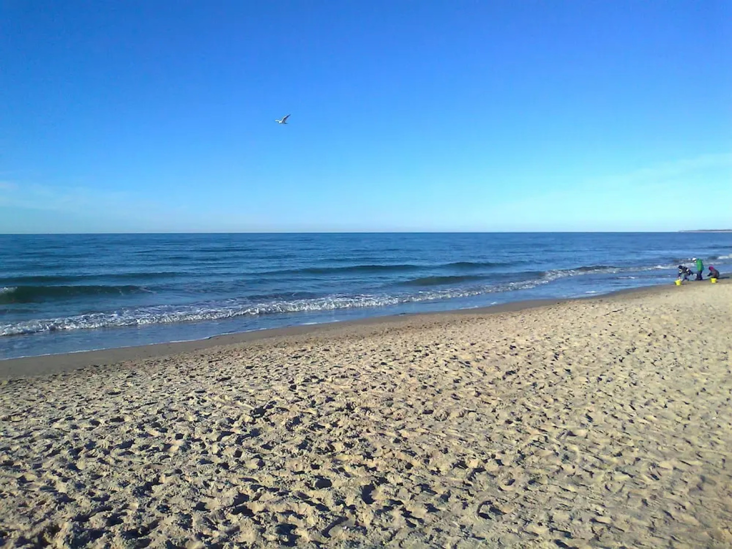 Peaceful Apartment in Wieck a Darß Near the Sea