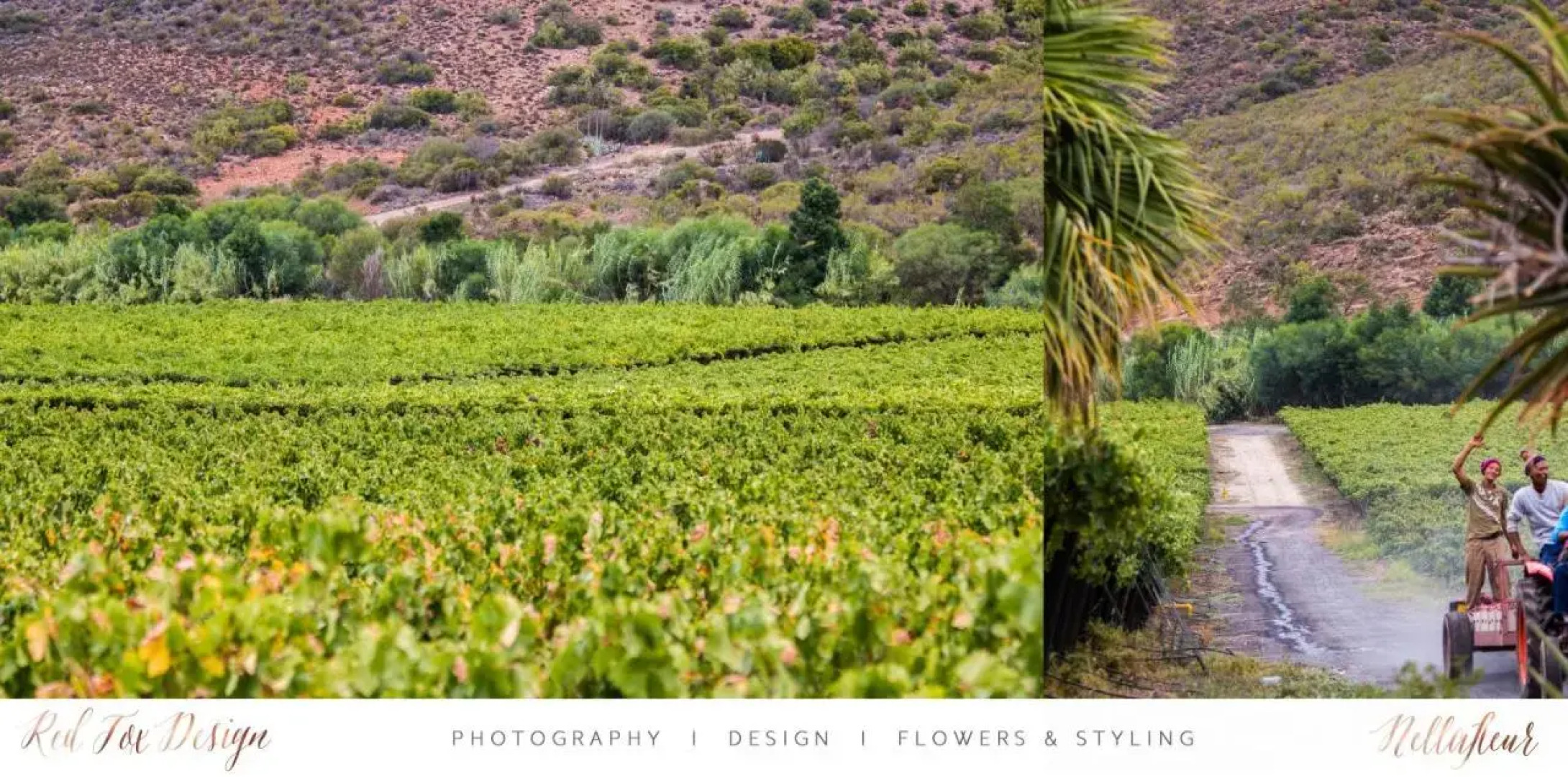 Sipreslaan Selfsorg Gastehuis