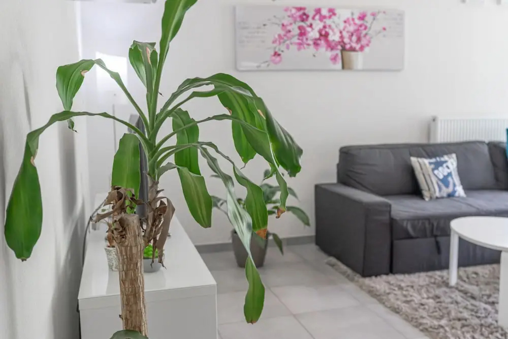 Les Passerelles Appartement privé