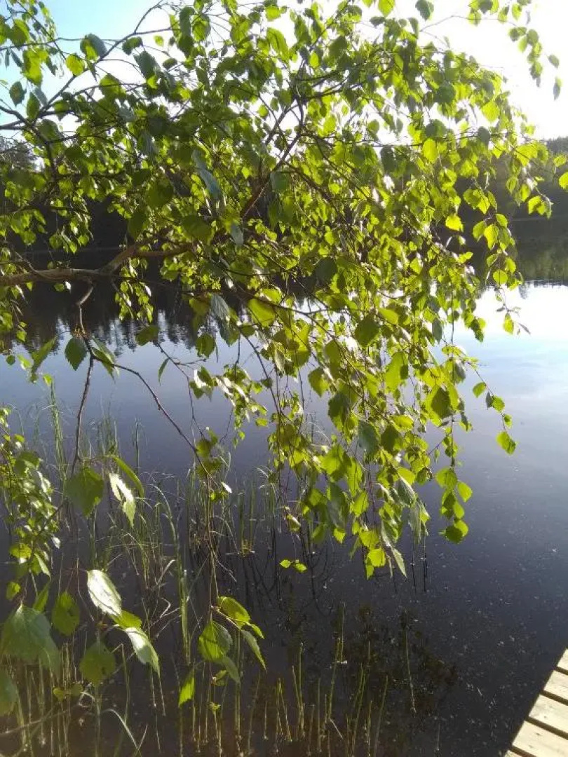 Mustikkakallio Luxury Villa