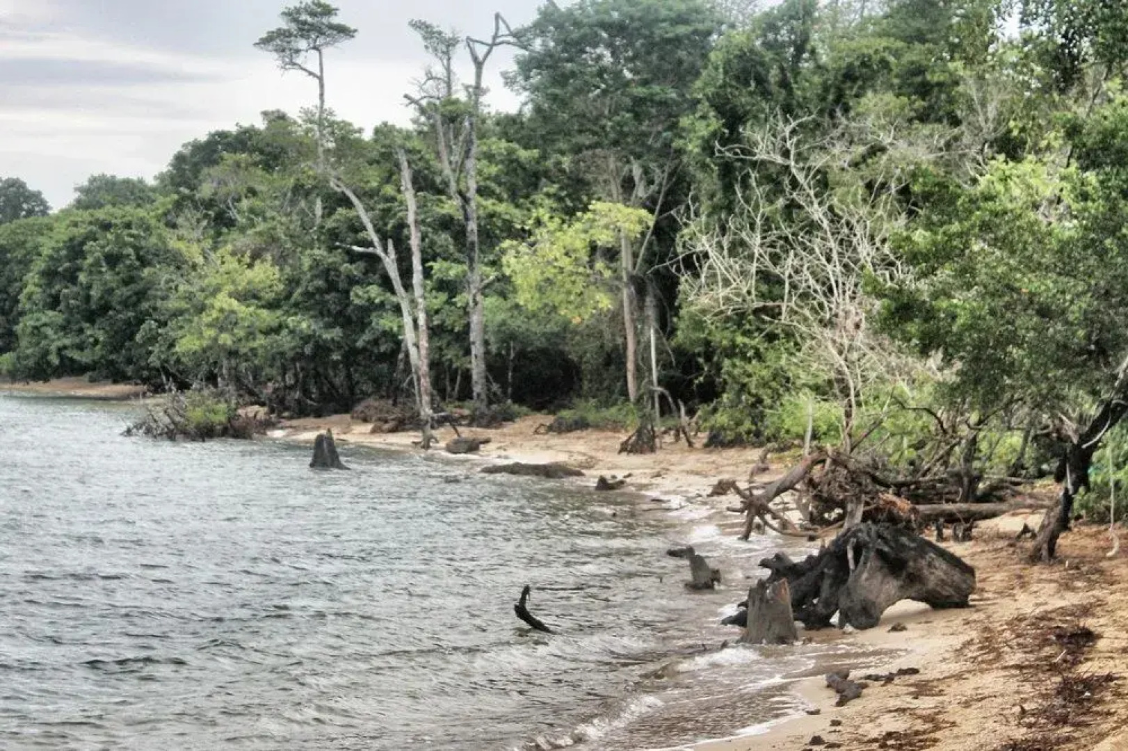 Walai Penyu Resort - Campground