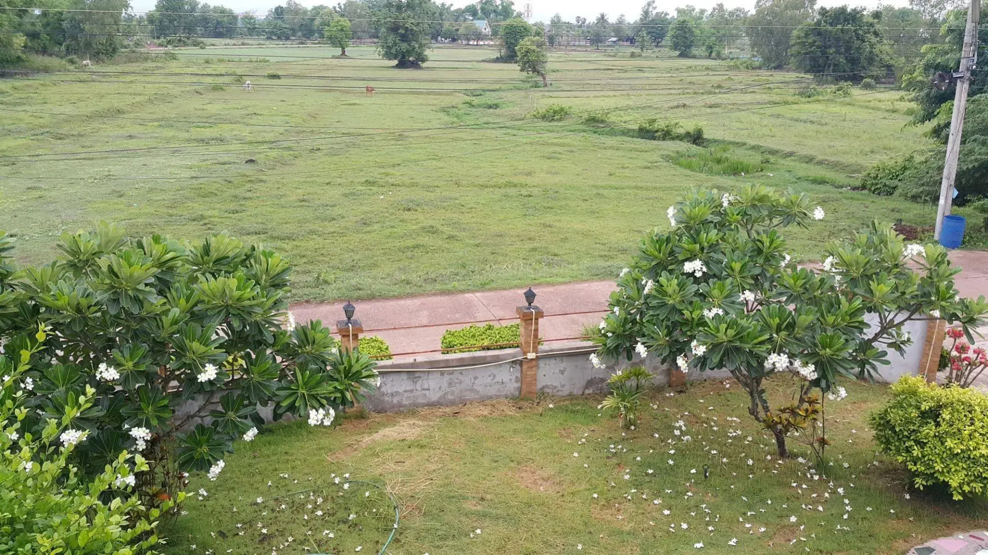 The Garden Resort Nongkhai