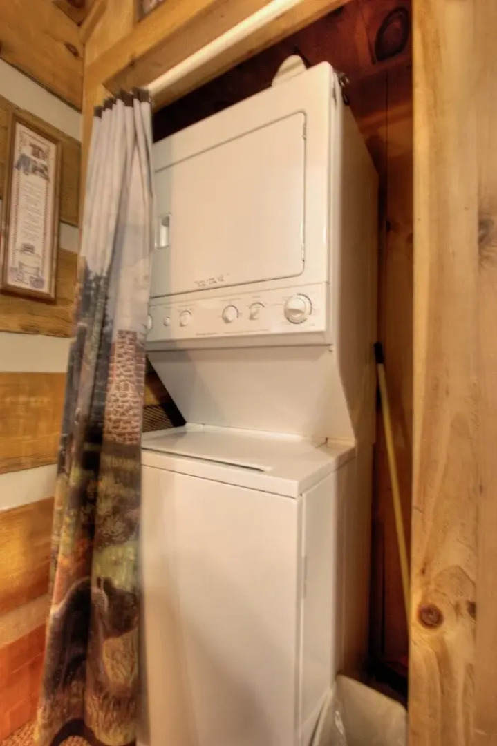 Apple Bear View #116