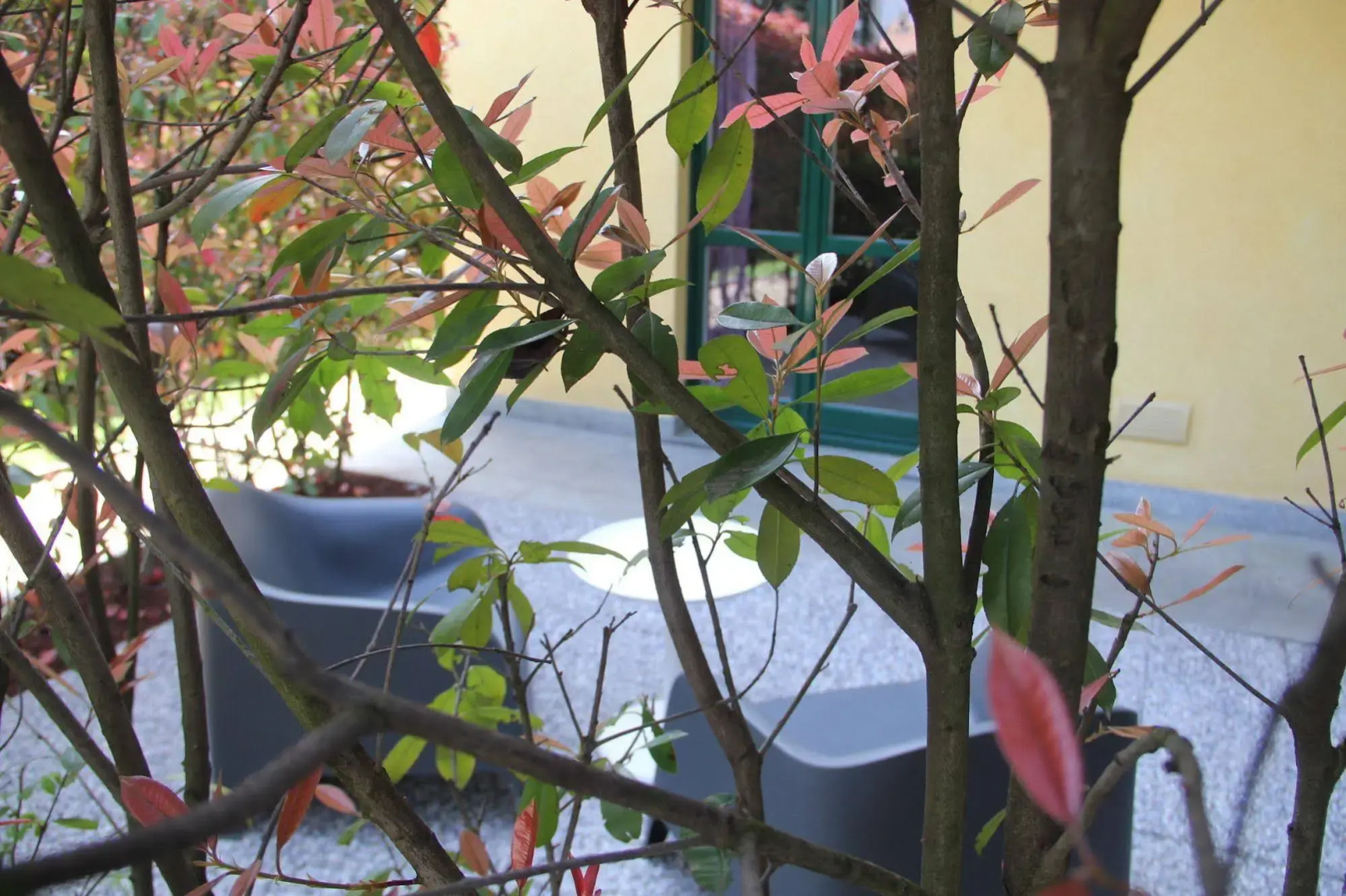 Rosta Residence Ranverso