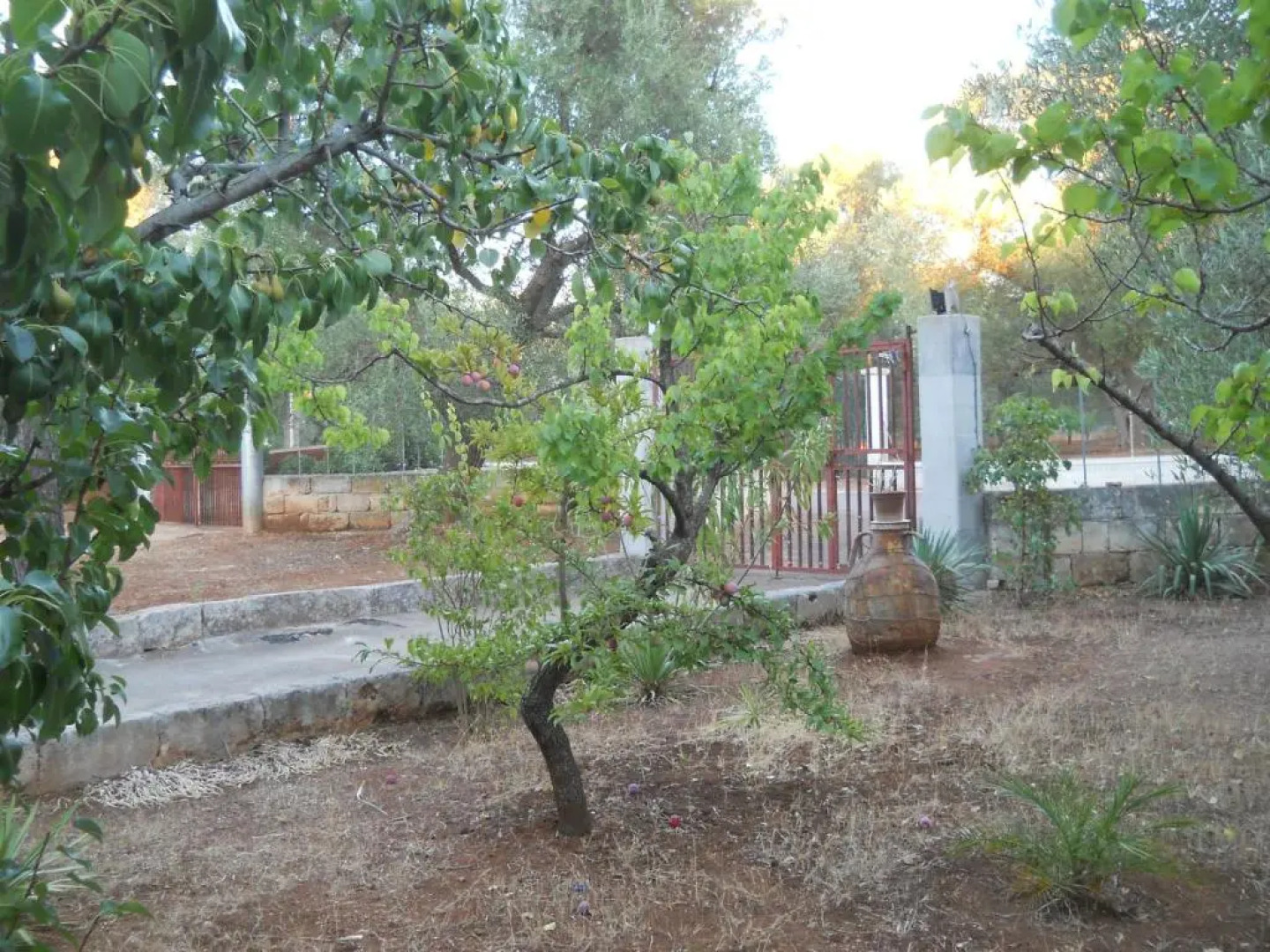 Villa Conte in Salento