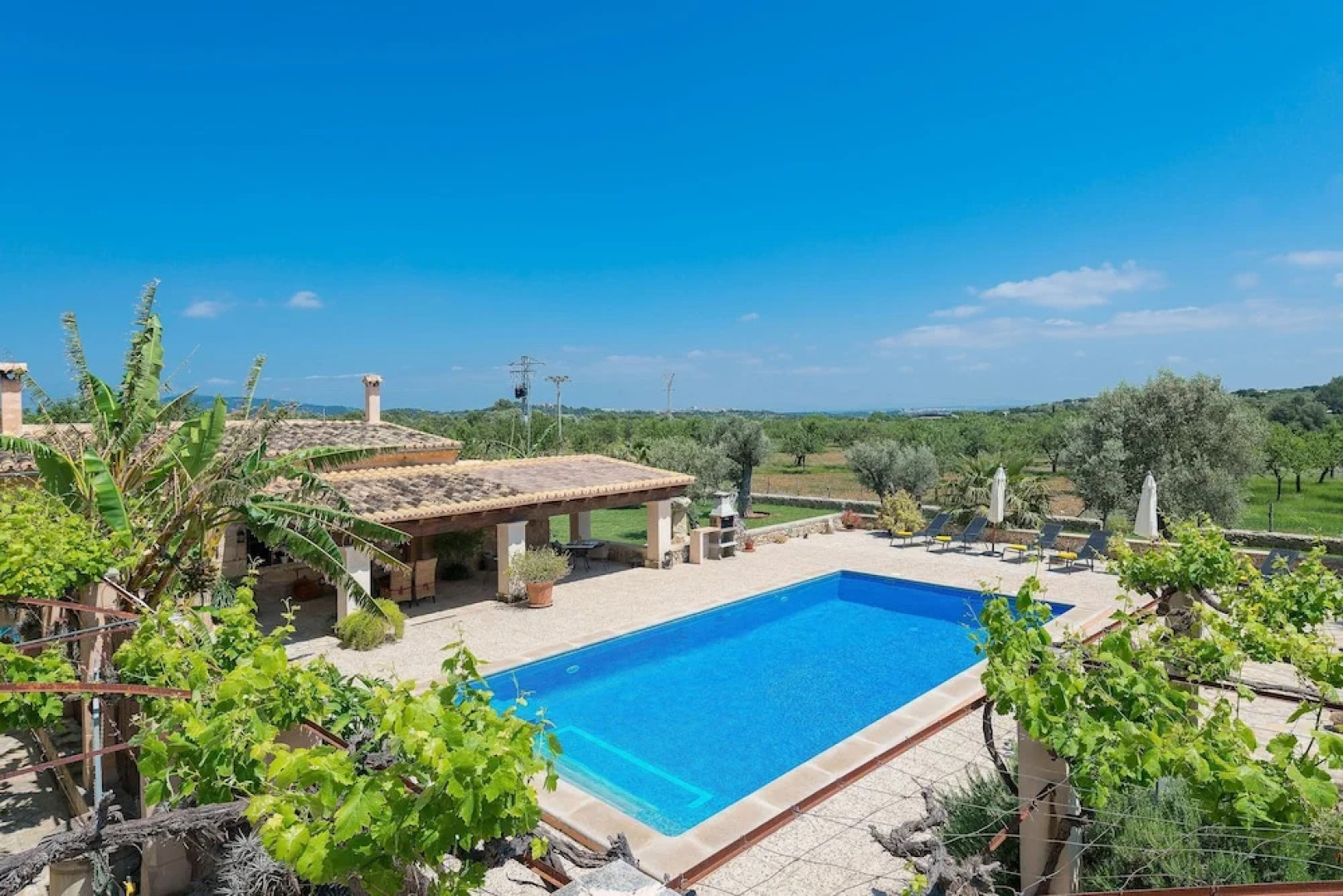 SA Parellada - Deluxe