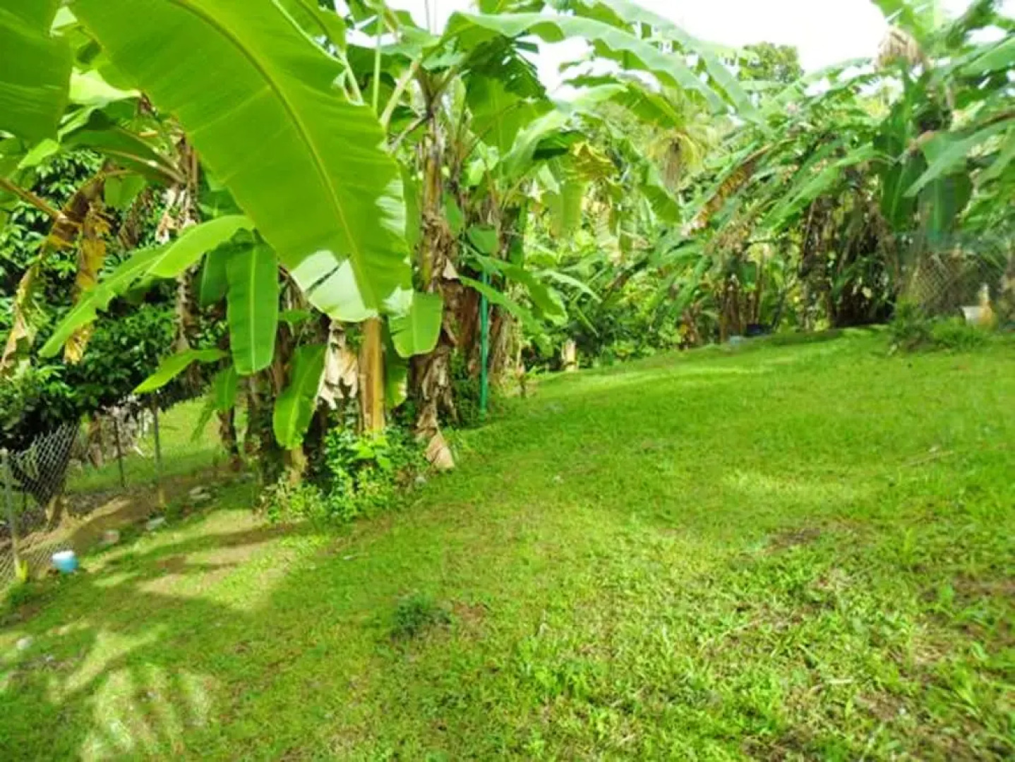 Apartment With 2 Bedrooms in Sainte-luce, With Wonderful Mountain View