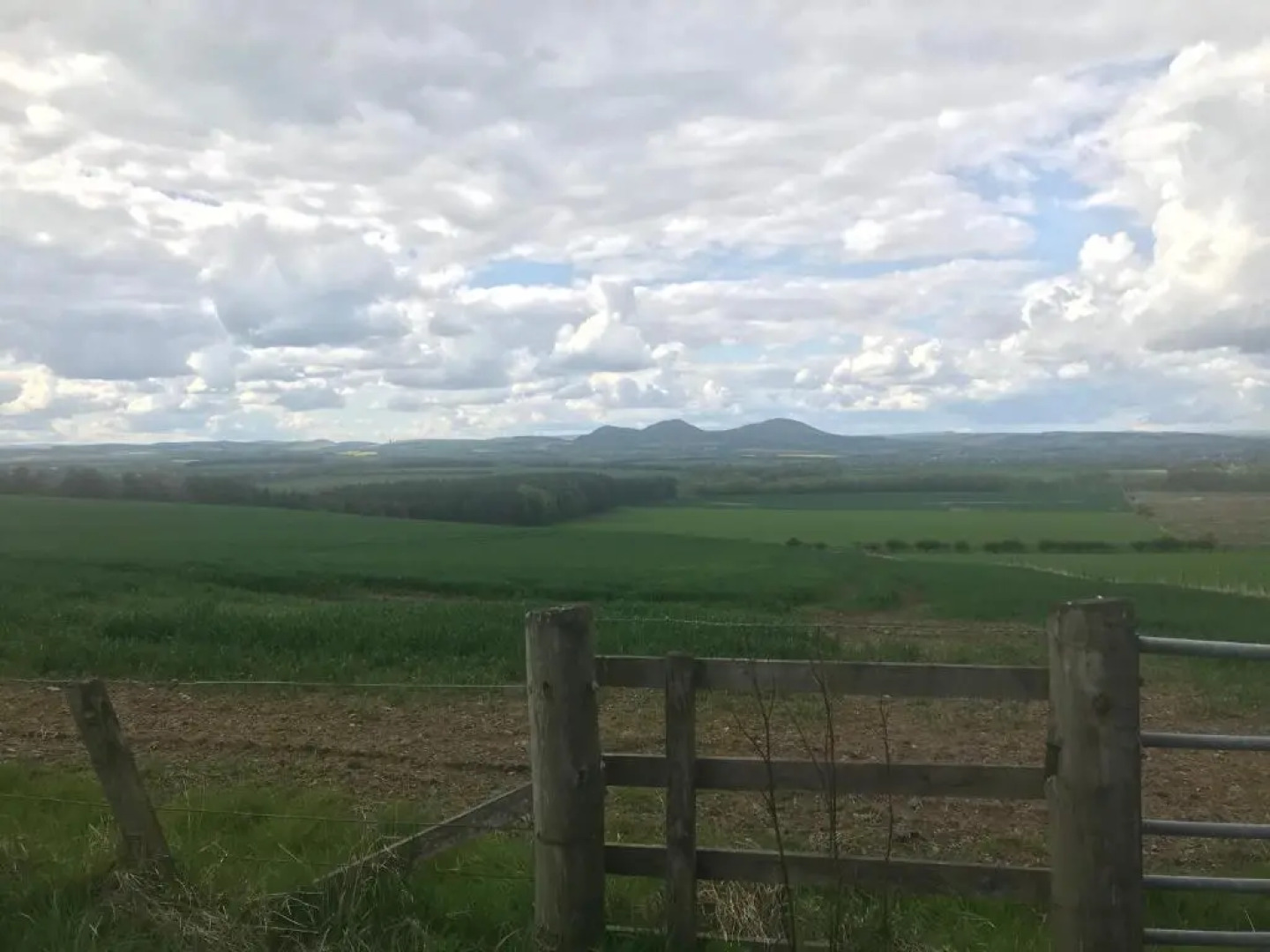 Number 42 @ Lilliardsedge