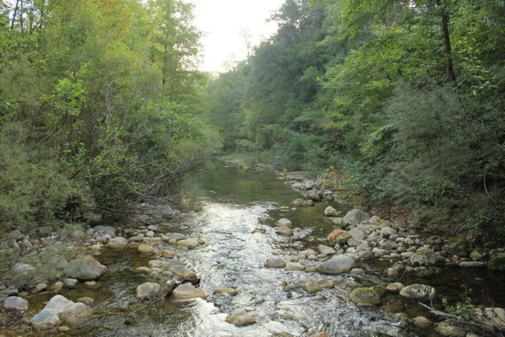 Modern Furnished Apartment Situated on the Ground Floor