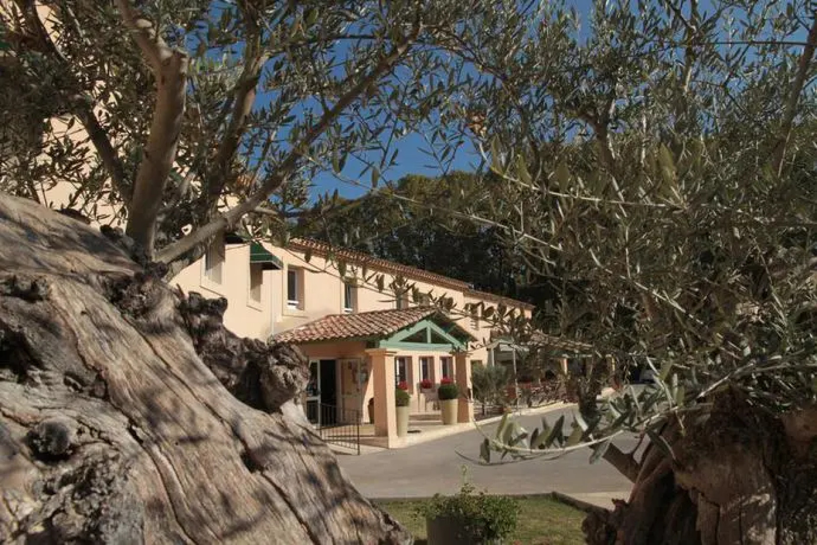 Jolly Delle Palme Salerno