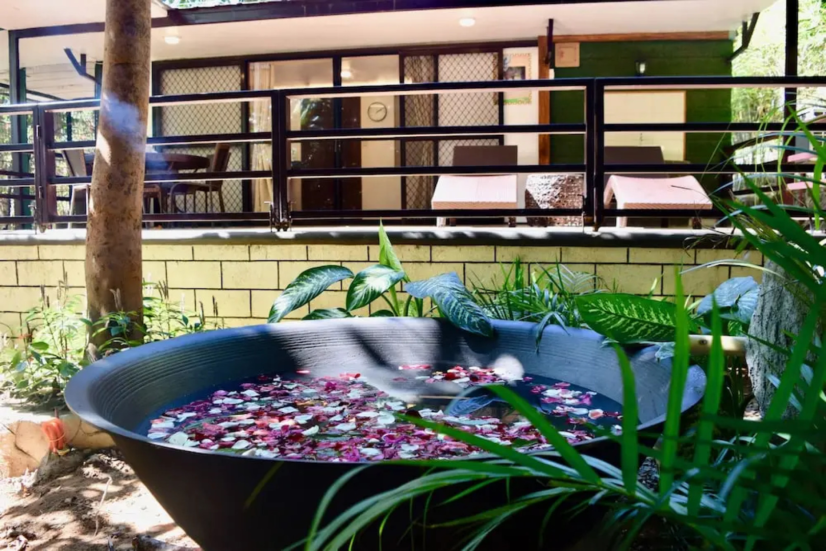 Zoobic Glampz- Subic