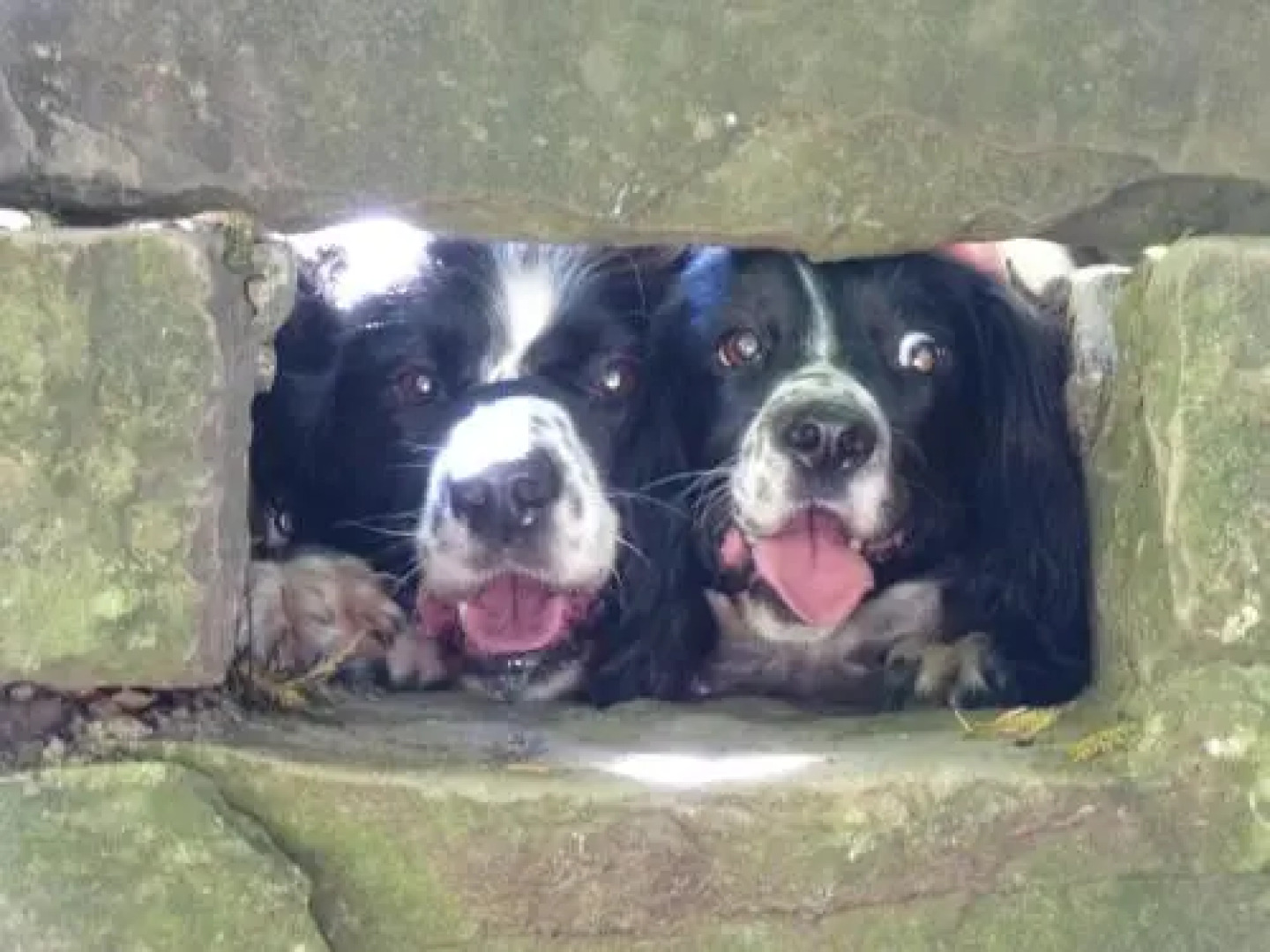 The Kenmore Guest House