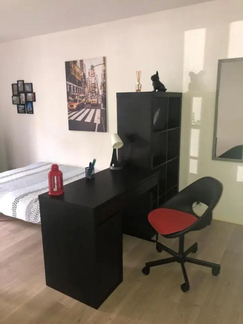 Studio cosy au pied du massif de Belledonne