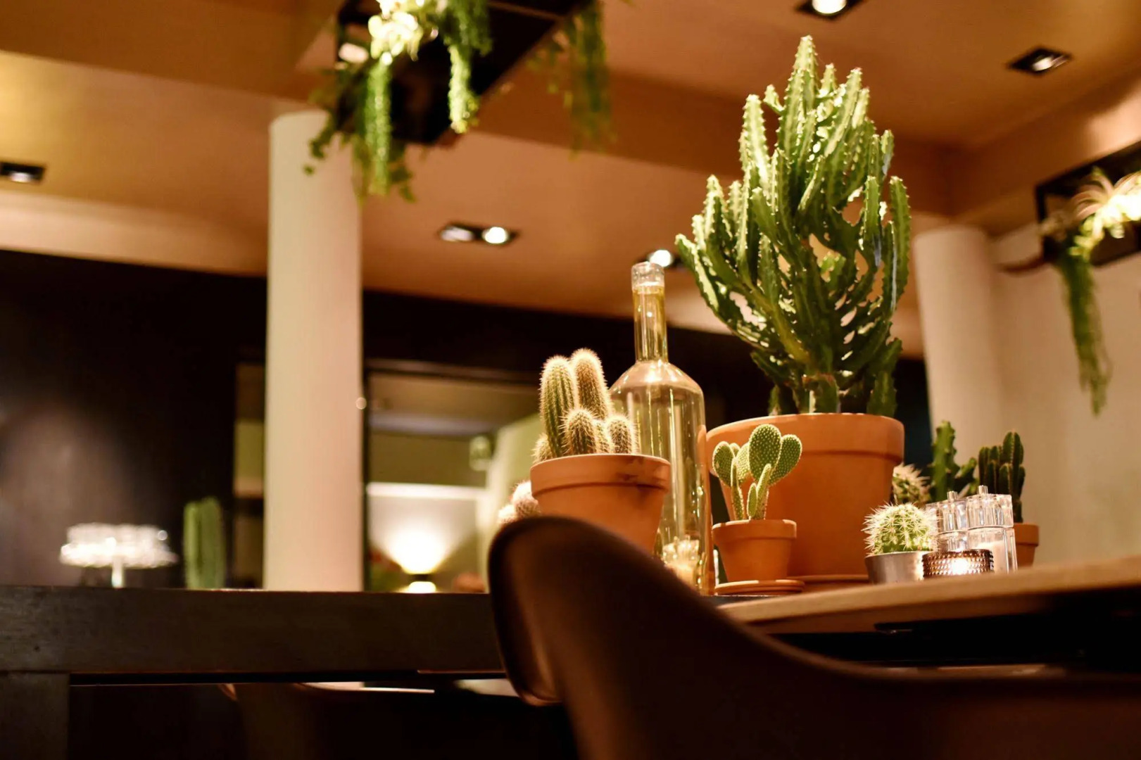 Hogerhuys - Adults Only